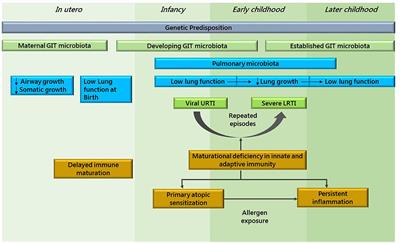 Wheezing-Related Relevant Factors and the Role of Viral Bronchiolitis
